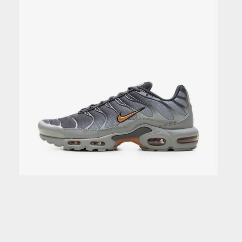 Nike Air Max Plus Light Smoke Grey Hot Curry