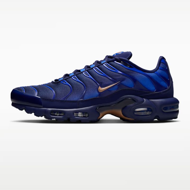 Nike Air Max Plus OG "FFF"