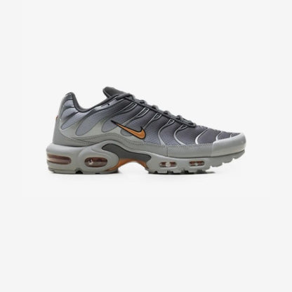 Nike Air Max Plus Light Smoke Grey Hot Curry