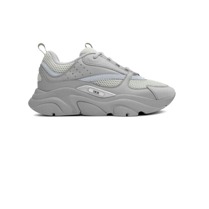Dior B22 Grau