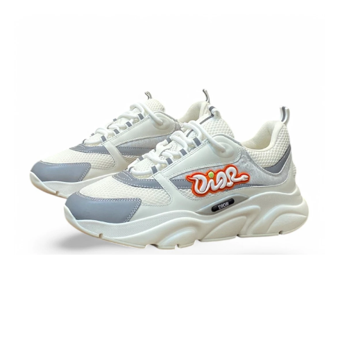 DIOR b57 white and grey