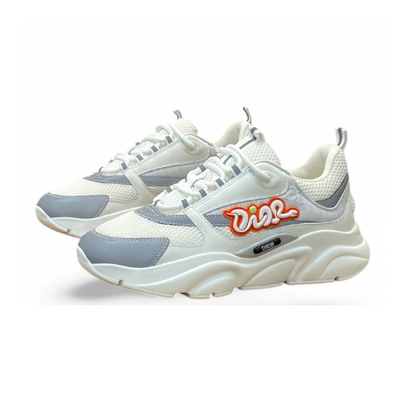DIOR b57 white and grey