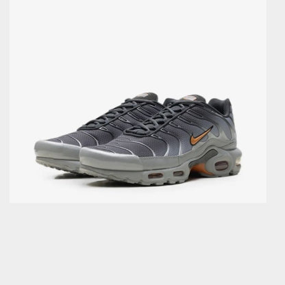 Nike Air Max Plus Light Smoke Grey Hot Curry