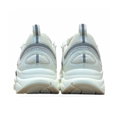 DIOR b57 white and grey