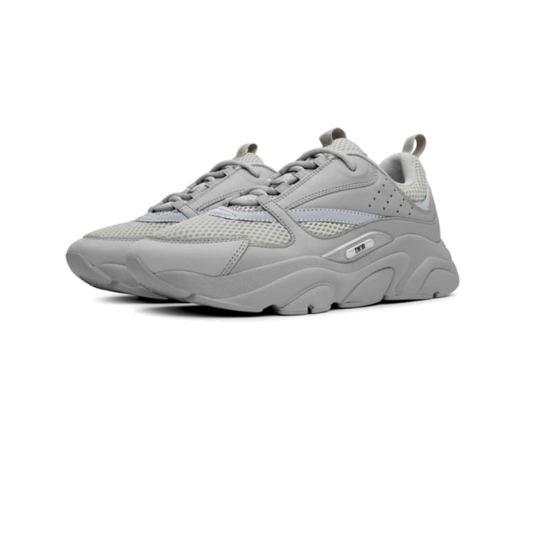 Dior B22 Grau