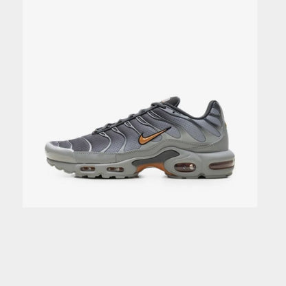 Nike Air Max Plus Light Smoke Grey Hot Curry