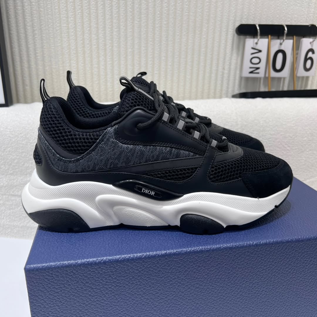 DIOR B22